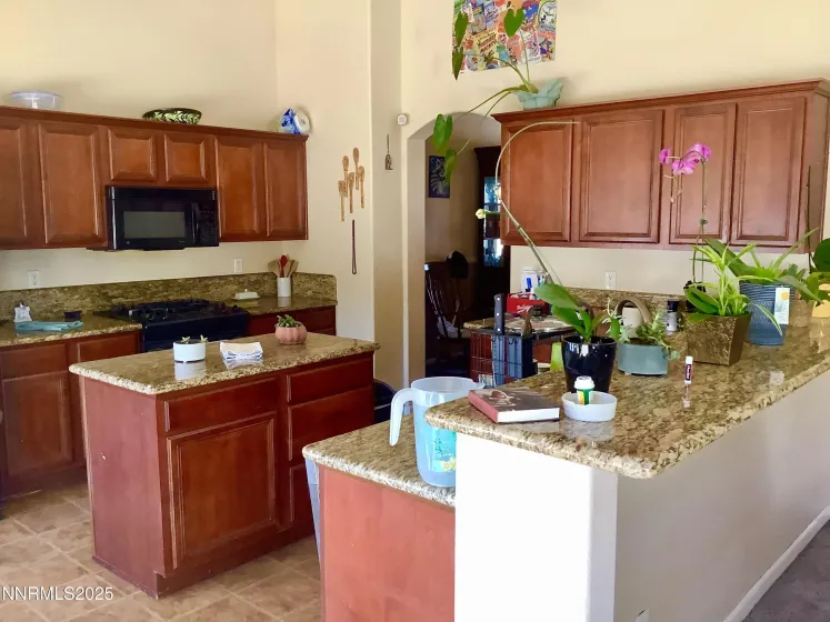 211 Shady Grove, Dayton, Nevada 89403, 3 Bedrooms Bedrooms, ,2 BathroomsBathrooms,Residential,Residential,Shady Grove,250057824