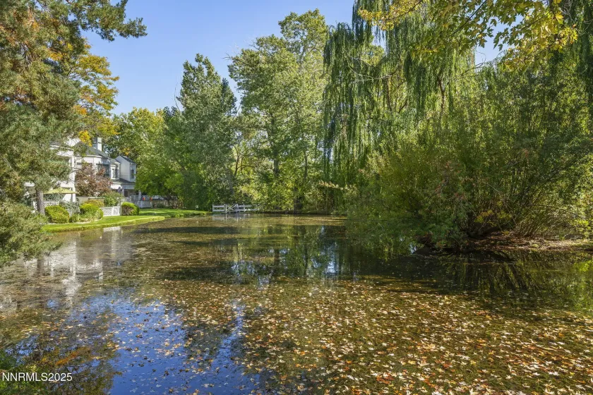 6302 Green Ranch, Reno, Nevada 89519, 2 Bedrooms Bedrooms, ,3 BathroomsBathrooms,Residential,Residential,Green Ranch,250057836