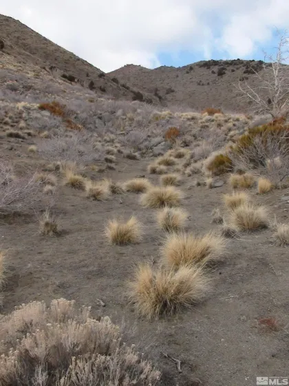 1265 Freds Mountain, Reno, Nevada 89508, ,Land,Residential,Freds Mountain,240013439