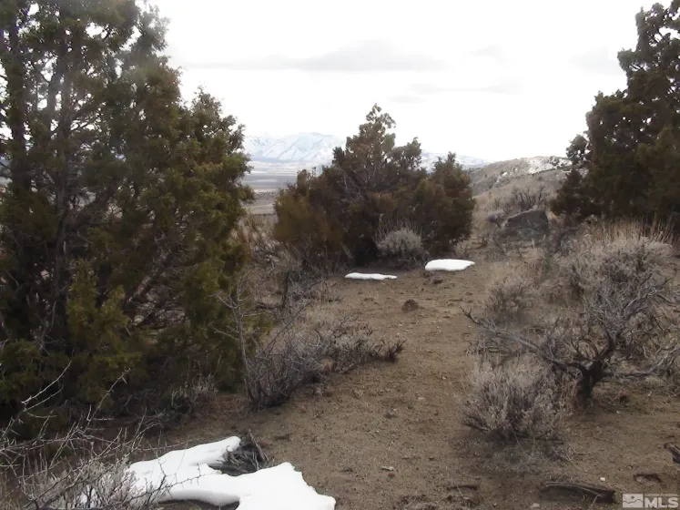1265 Freds Mountain, Reno, Nevada 89508, ,Land,Residential,Freds Mountain,240013439