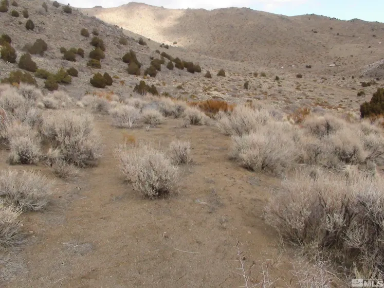 1265 Freds Mountain, Reno, Nevada 89508, ,Land,Residential,Freds Mountain,240013439