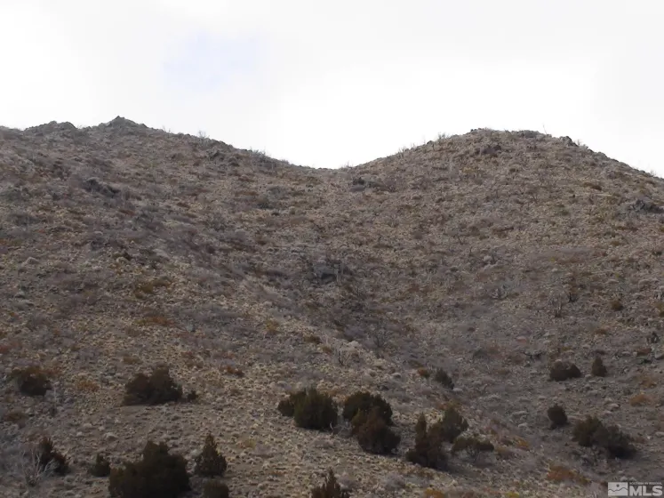 1265 Freds Mountain, Reno, Nevada 89508, ,Land,Residential,Freds Mountain,240013439