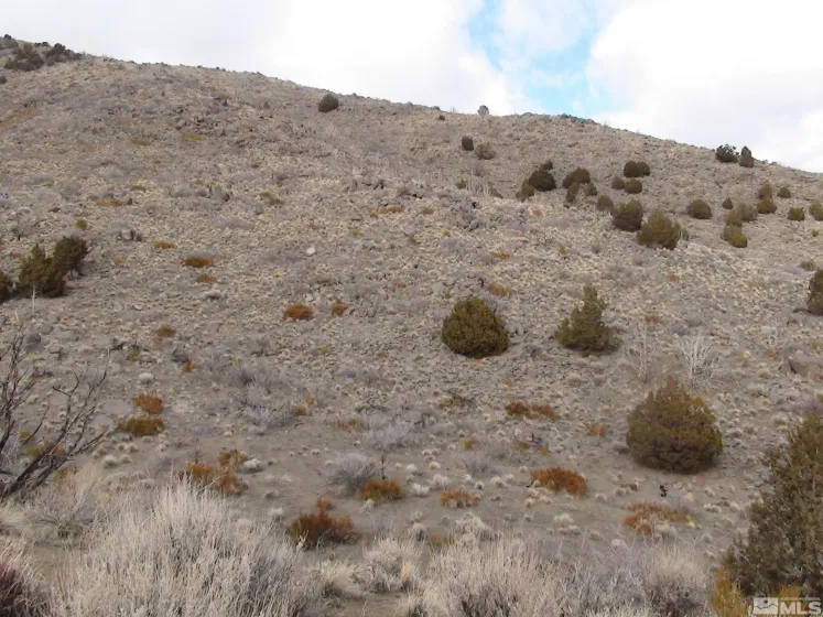 1265 Freds Mountain, Reno, Nevada 89508, ,Land,Residential,Freds Mountain,240013439