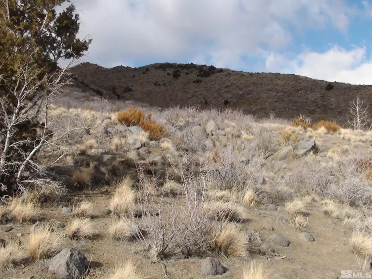 1265 Freds Mountain, Reno, Nevada 89508, ,Land,Residential,Freds Mountain,240013439