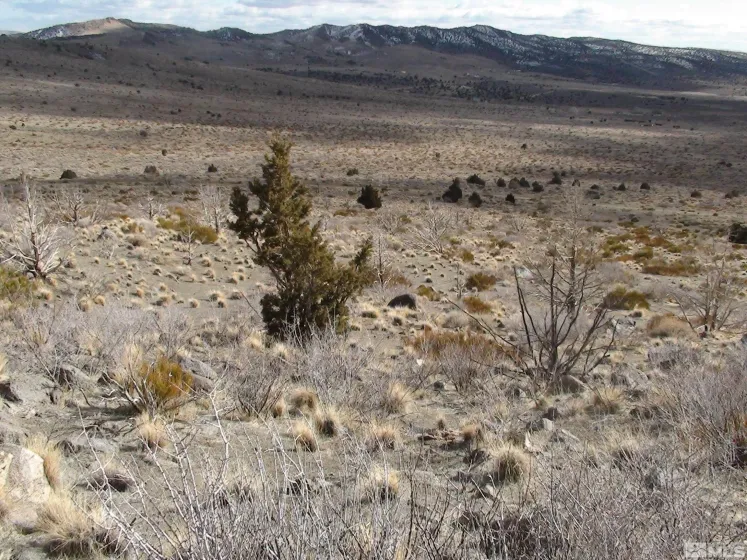 1265 Freds Mountain, Reno, Nevada 89508, ,Land,Residential,Freds Mountain,240013439