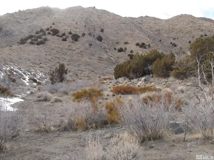 1265 Freds Mountain, Reno, Nevada 89508, ,Land,Residential,Freds Mountain,240013439