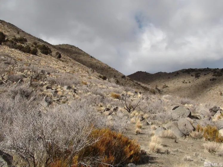 1265 Freds Mountain, Reno, Nevada 89508, ,Land,Residential,Freds Mountain,240013439