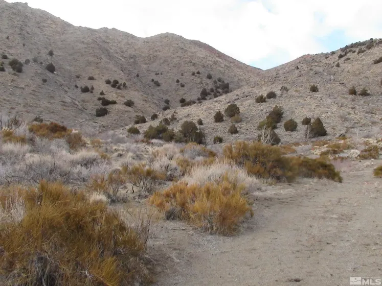 1265 Freds Mountain, Reno, Nevada 89508, ,Land,Residential,Freds Mountain,240013439