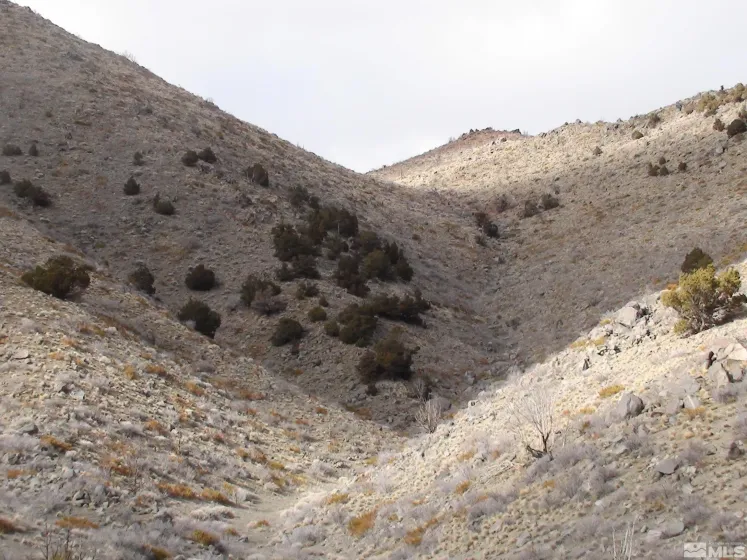 1265 Freds Mountain, Reno, Nevada 89508, ,Land,Residential,Freds Mountain,240013439