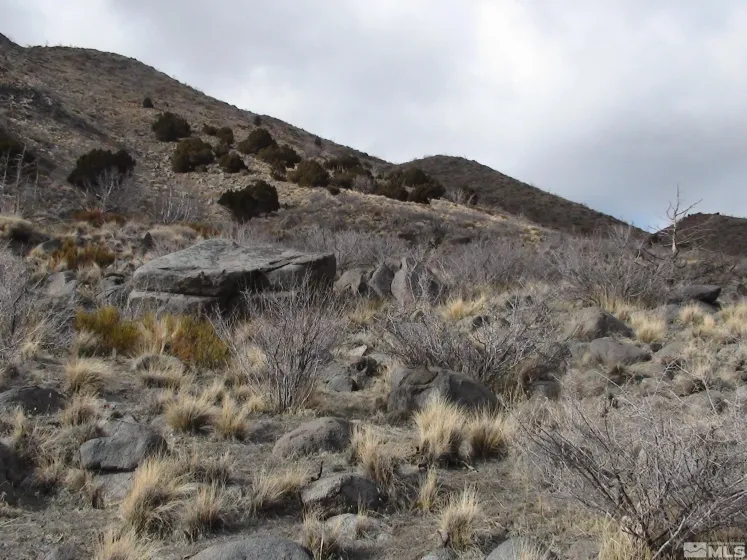 1265 Freds Mountain, Reno, Nevada 89508, ,Land,Residential,Freds Mountain,240013439