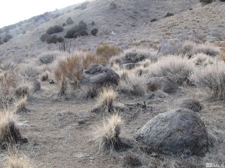 1265 Freds Mountain, Reno, Nevada 89508, ,Land,Residential,Freds Mountain,240013439