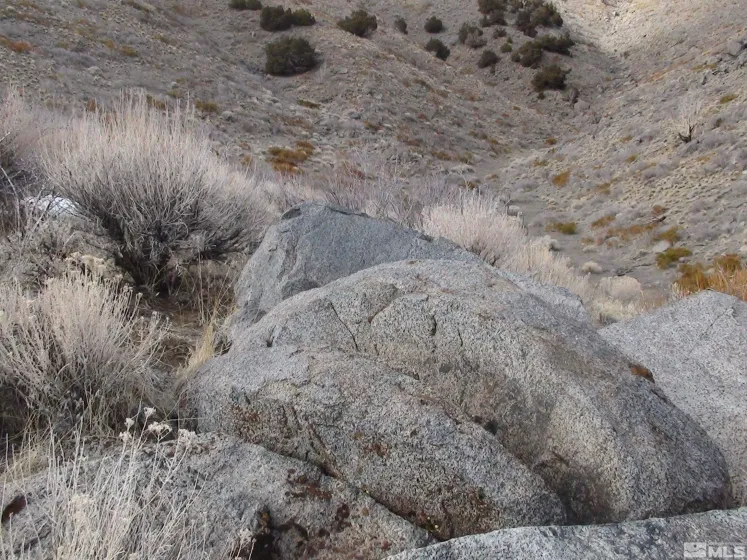 1265 Freds Mountain, Reno, Nevada 89508, ,Land,Residential,Freds Mountain,240013439