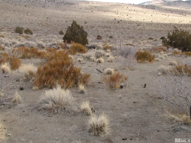 1265 Freds Mountain, Reno, Nevada 89508, ,Land,Residential,Freds Mountain,240013439