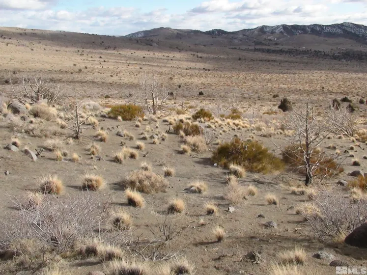 1265 Freds Mountain, Reno, Nevada 89508, ,Land,Residential,Freds Mountain,240013439