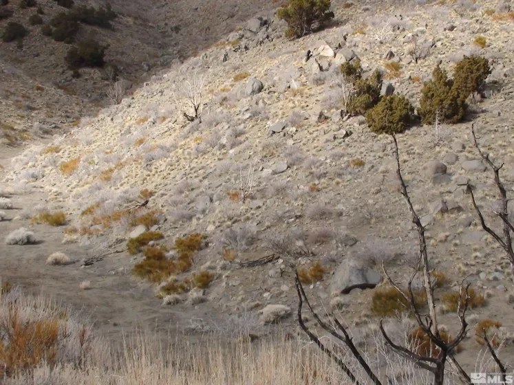 1265 Freds Mountain, Reno, Nevada 89508, ,Land,Residential,Freds Mountain,240013439