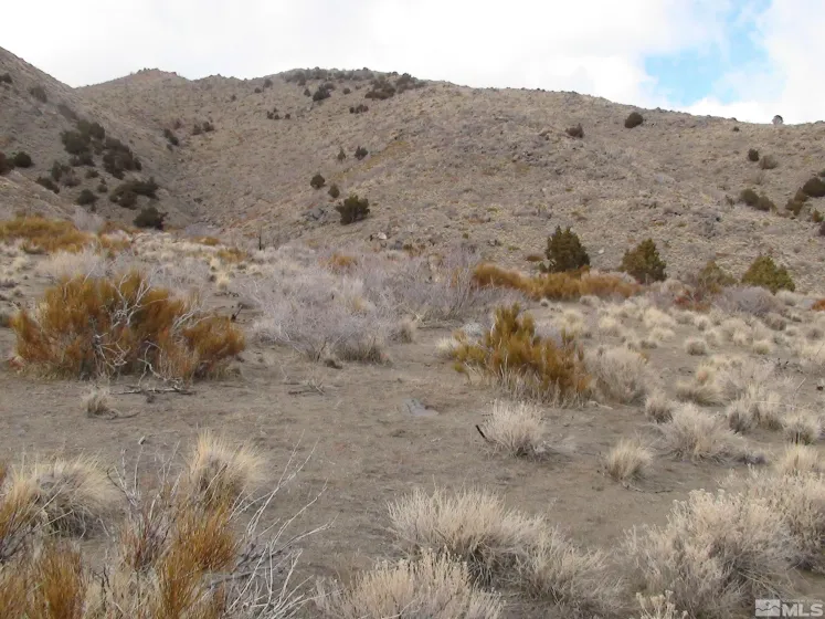 1265 Freds Mountain, Reno, Nevada 89508, ,Land,Residential,Freds Mountain,240013439