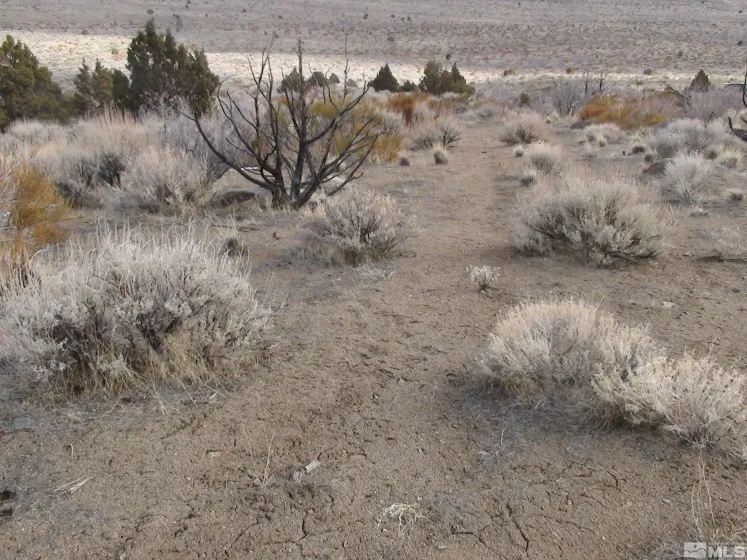 1265 Freds Mountain, Reno, Nevada 89508, ,Land,Residential,Freds Mountain,240013439