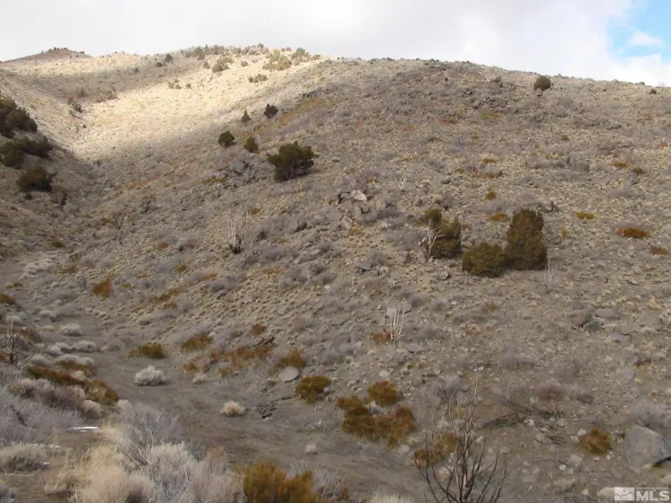 1265 Freds Mountain, Reno, Nevada 89508, ,Land,Residential,Freds Mountain,240013439