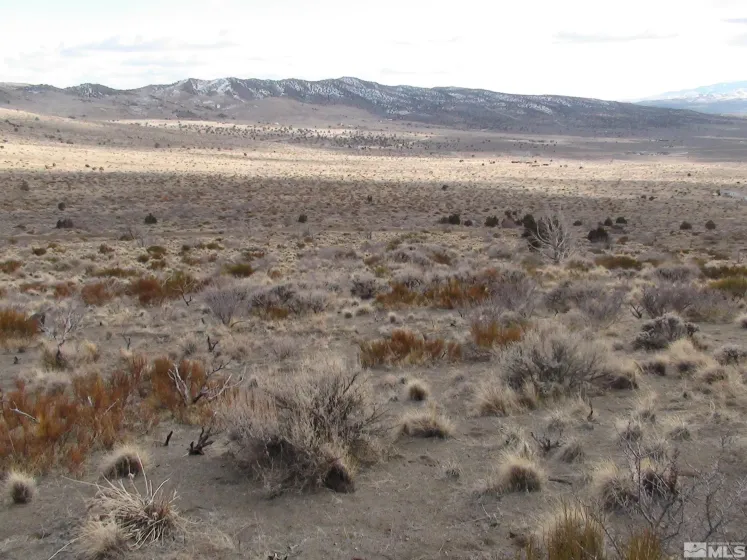 1265 Freds Mountain, Reno, Nevada 89508, ,Land,Residential,Freds Mountain,240013439