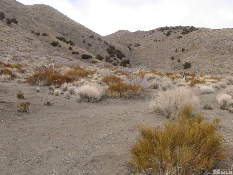 1265 Freds Mountain, Reno, Nevada 89508, ,Land,Residential,Freds Mountain,240013439