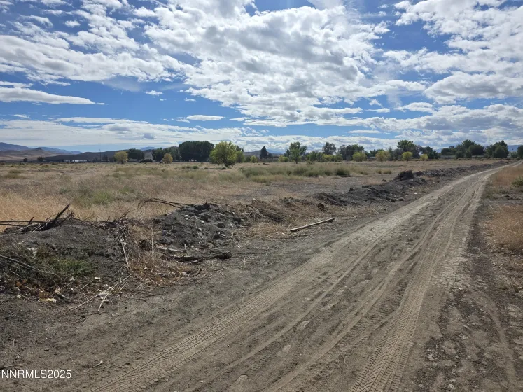 400 Bridge, Yerington, Nevada 89447, ,Land,Residential,Bridge,250057842