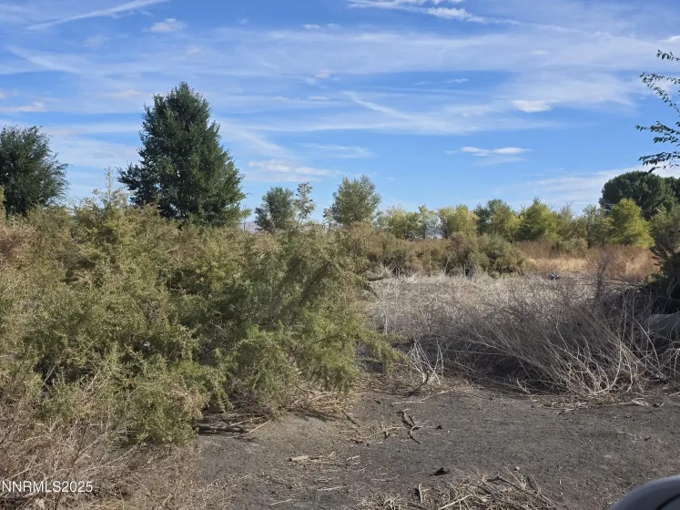 400 Bridge, Yerington, Nevada 89447, ,Land,Residential,Bridge,250057842