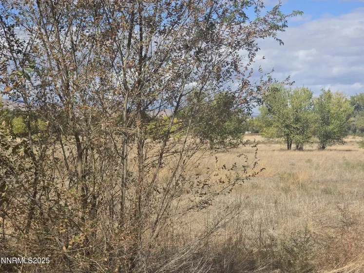 400 Bridge, Yerington, Nevada 89447, ,Land,Residential,Bridge,250057842