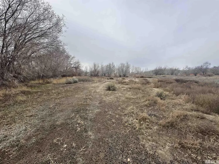 3275 Alcorn, Fallon, Nevada 89406, 3 Bedrooms Bedrooms, ,2 BathroomsBathrooms,Residential,Residential,Alcorn,240001865