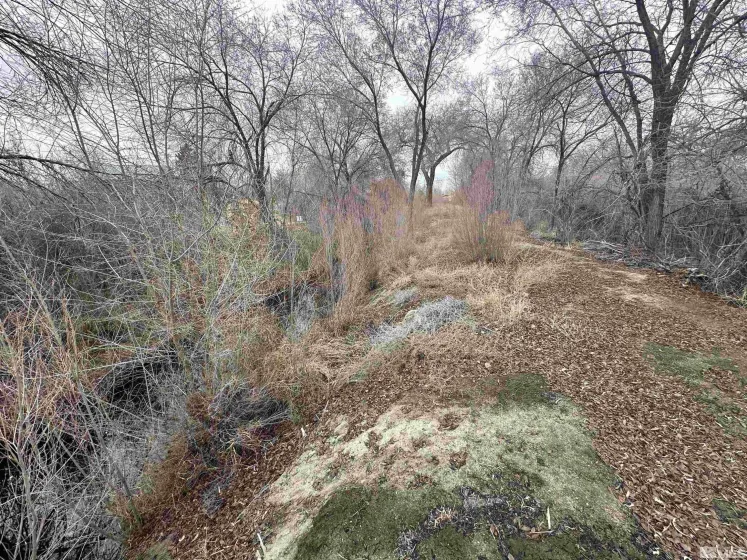 3275 Alcorn, Fallon, Nevada 89406, 3 Bedrooms Bedrooms, ,2 BathroomsBathrooms,Residential,Residential,Alcorn,240001865