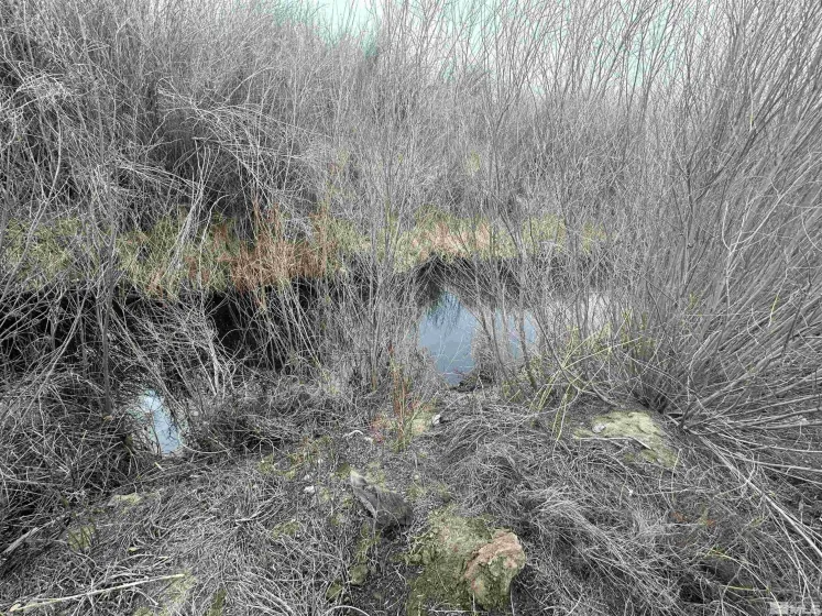 3275 Alcorn, Fallon, Nevada 89406, 3 Bedrooms Bedrooms, ,2 BathroomsBathrooms,Residential,Residential,Alcorn,240001865