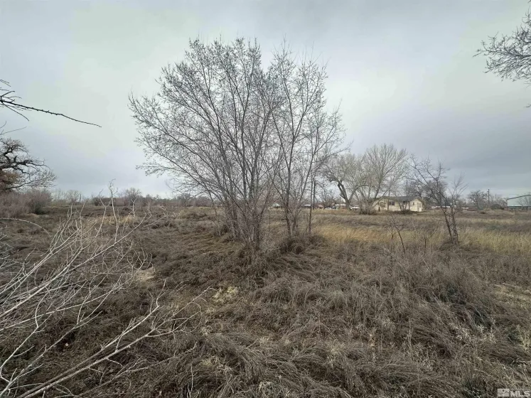 3275 Alcorn, Fallon, Nevada 89406, 3 Bedrooms Bedrooms, ,2 BathroomsBathrooms,Residential,Residential,Alcorn,240001865