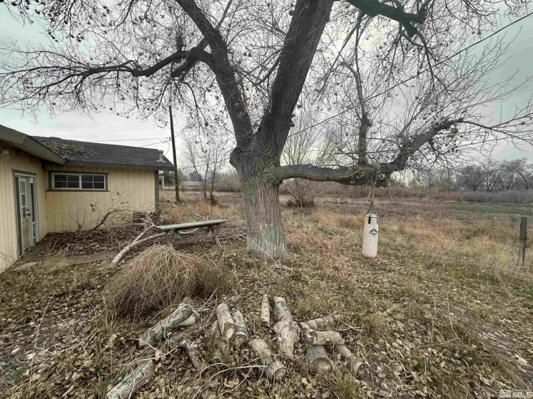 3275 Alcorn, Fallon, Nevada 89406, 3 Bedrooms Bedrooms, ,2 BathroomsBathrooms,Residential,Residential,Alcorn,240001865