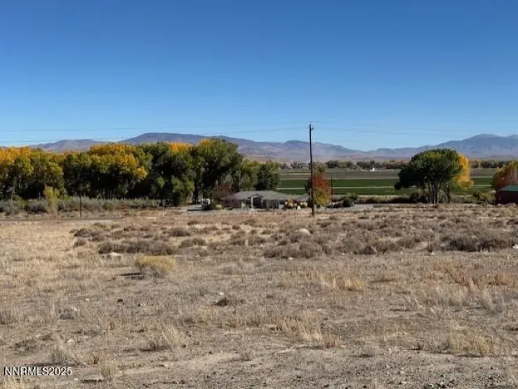 225 NV-339, Yerington, Nevada 89447, ,Land,Residential,NV-339,250057944