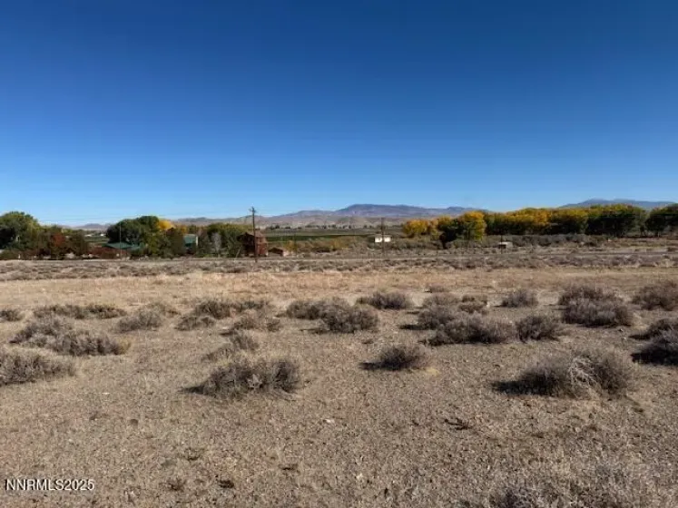 225 NV-339, Yerington, Nevada 89447, ,Land,Residential,NV-339,250057944