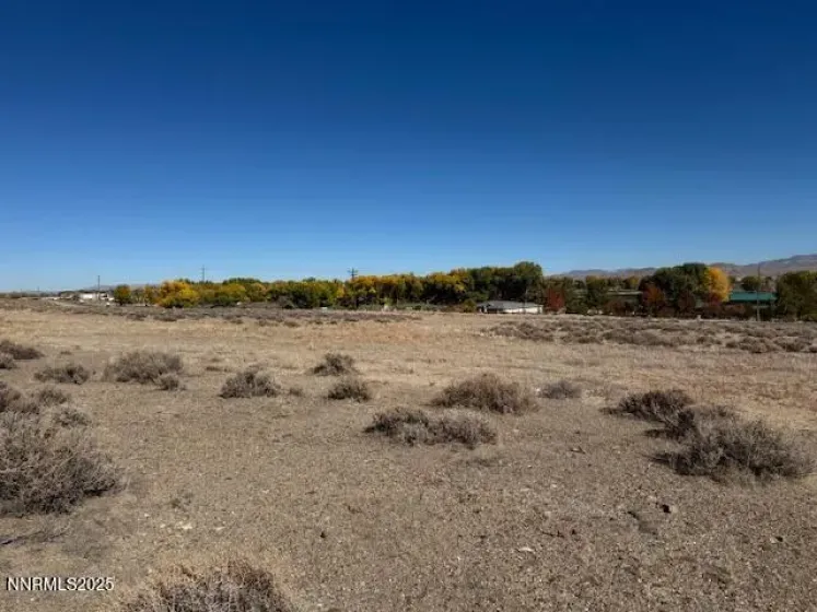 225 NV-339, Yerington, Nevada 89447, ,Land,Residential,NV-339,250057944