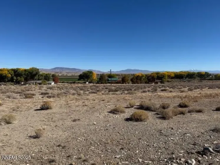 225 NV-339, Yerington, Nevada 89447, ,Land,Residential,NV-339,250057944