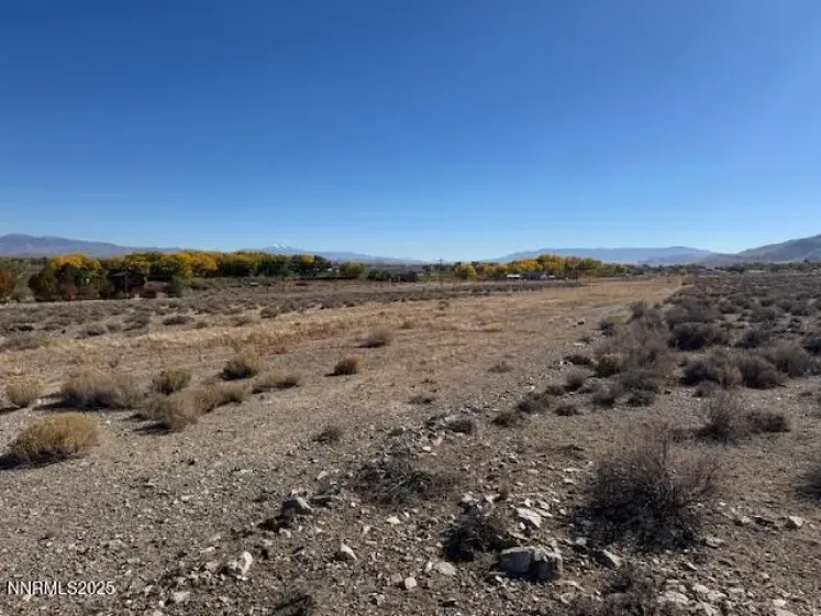 225 NV-339, Yerington, Nevada 89447, ,Land,Residential,NV-339,250057944