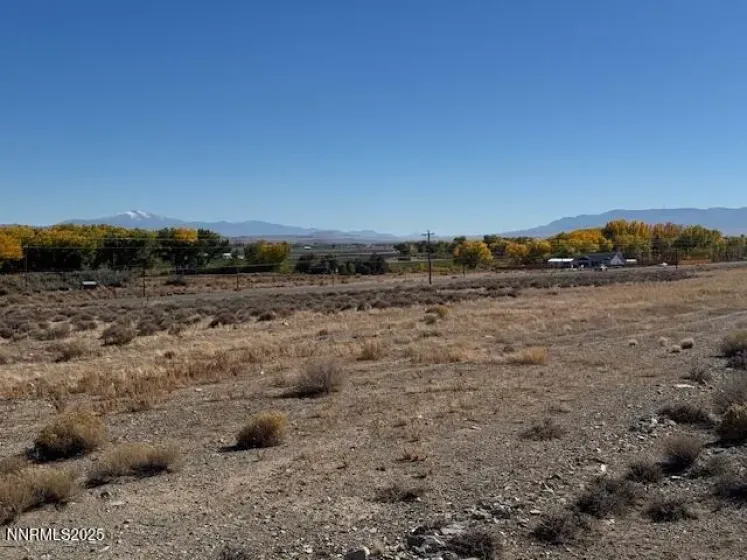 225 NV-339, Yerington, Nevada 89447, ,Land,Residential,NV-339,250057944