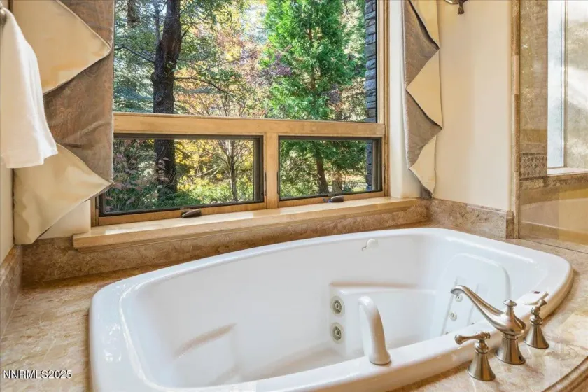 20000 Bordeaux, Reno, Nevada 89511, 4 Bedrooms Bedrooms, ,5 BathroomsBathrooms,Residential,Residential,Bordeaux,250057963