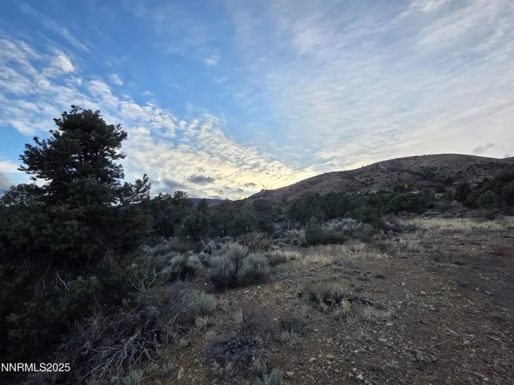 1340 Sandstone, Wellington, Nevada 89444, 3 Bedrooms Bedrooms, ,2 BathroomsBathrooms,Residential,Residential,Sandstone,250057968