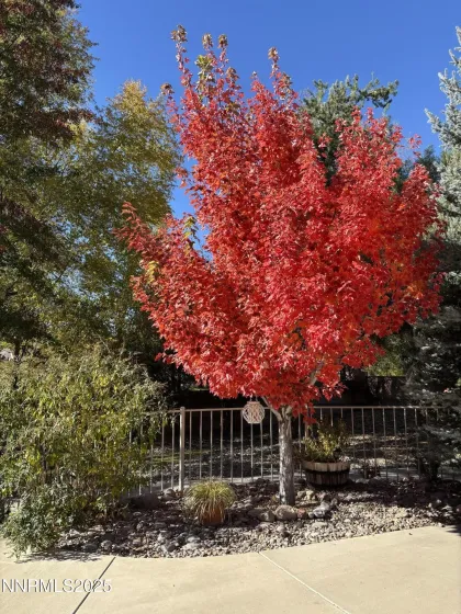 488 Sierra Leaf, Reno, Nevada 89511, 2 Bedrooms Bedrooms, ,2 BathroomsBathrooms,Residential,Residential,Sierra Leaf,250057975