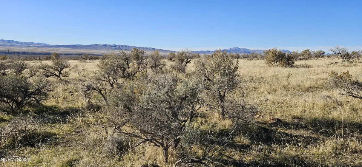12605 Minden, Lovelock, Nevada 89419, ,Land,Residential,Minden,250057987