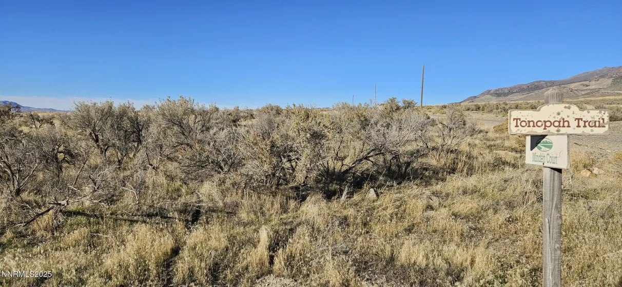 12605 Minden, Lovelock, Nevada 89419, ,Land,Residential,Minden,250057987
