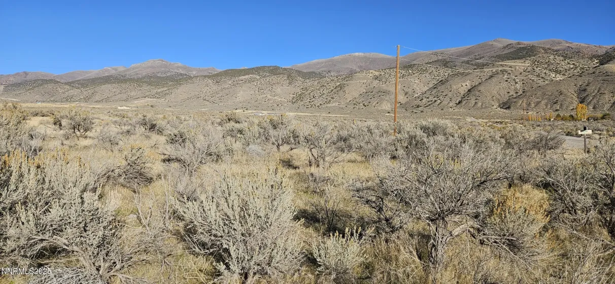 12605 Minden, Lovelock, Nevada 89419, ,Land,Residential,Minden,250057987