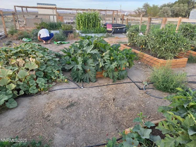 5355 Godchaux, Winnemucca, Nevada 89445, 3 Bedrooms Bedrooms, ,2 BathroomsBathrooms,Residential,Residential,Godchaux,250058003