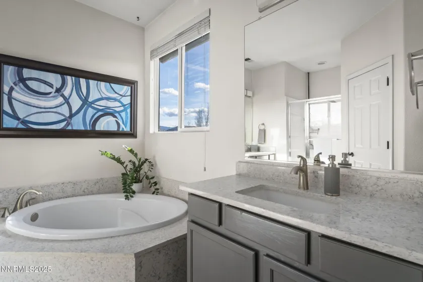 10431 Silver Rush, Reno, Nevada 89521, 4 Bedrooms Bedrooms, ,3 BathroomsBathrooms,Residential,Residential,Silver Rush,250058031