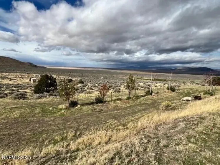 76770 Fish Springs Rd, Reno, Nevada 89510, ,Land,Residential,Fish Springs Rd,250058032