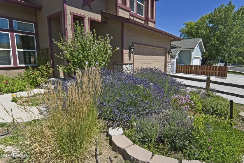 925 Sauvignon, Reno, Nevada 89506, 4 Bedrooms Bedrooms, ,3 BathroomsBathrooms,Residential,Residential,Sauvignon,250005158