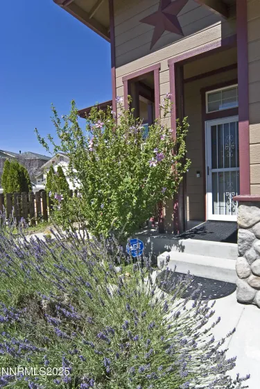 925 Sauvignon, Reno, Nevada 89506, 4 Bedrooms Bedrooms, ,3 BathroomsBathrooms,Residential,Residential,Sauvignon,250005158