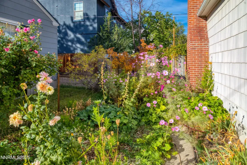 1315 Watt, Reno, Nevada 89509, 2 Bedrooms Bedrooms, ,1 BathroomBathrooms,Residential,Residential,Watt,250058048